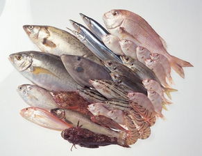 2016年1-9月龍巖市水產(chǎn)品零售價(jià)格形勢(shì)分析